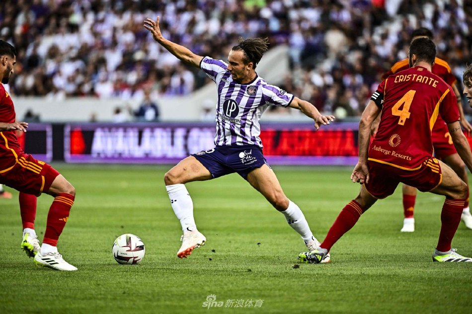 他们不仅拥 他们不仅拥